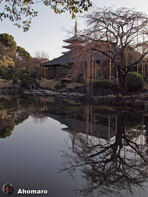 写真00