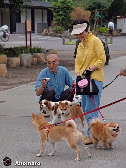 写真00