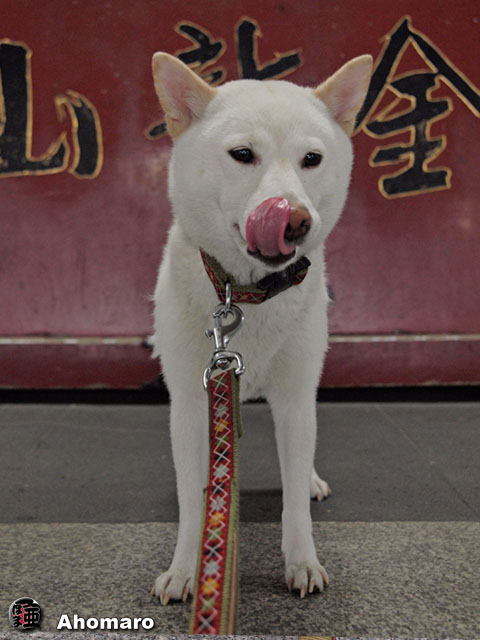 写真00