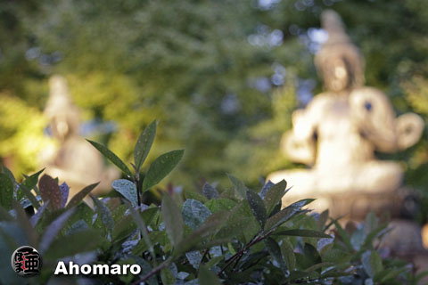 写真00