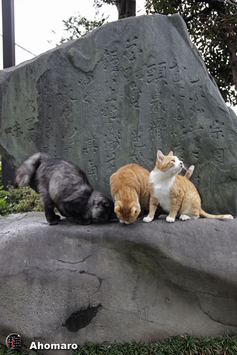 写真00