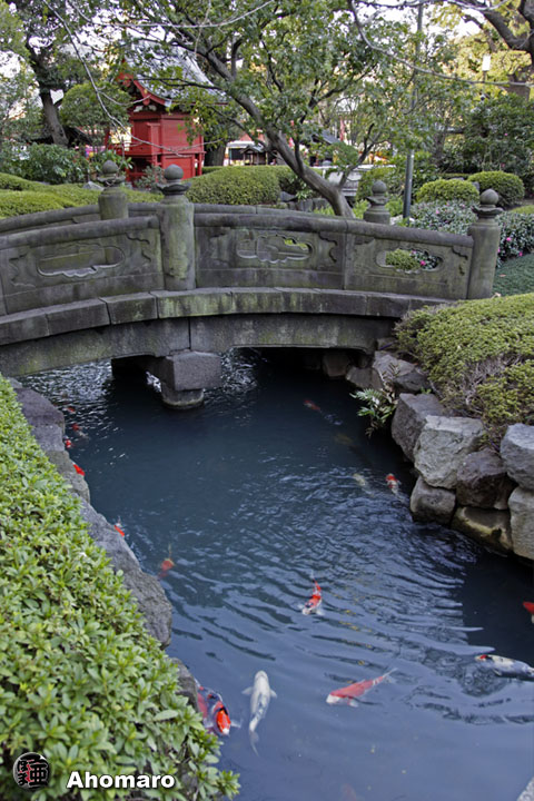 写真00