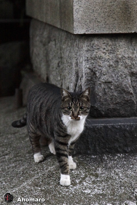 写真00