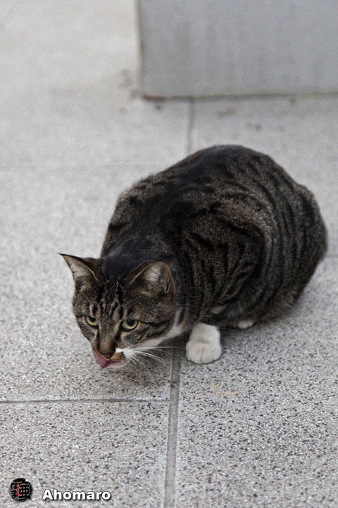 写真00