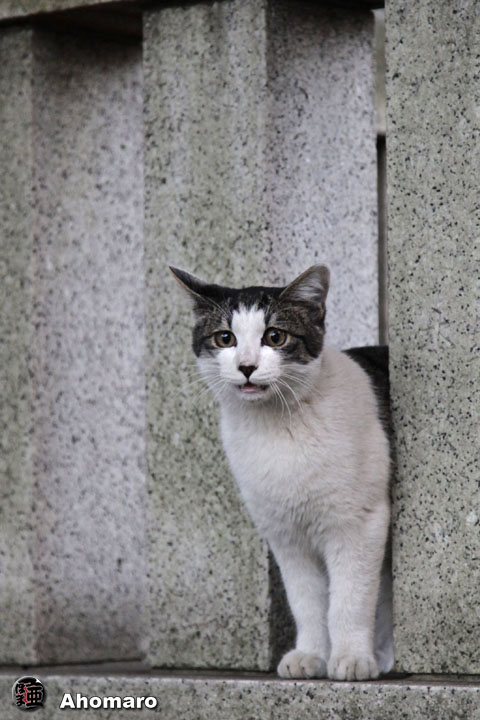 写真00