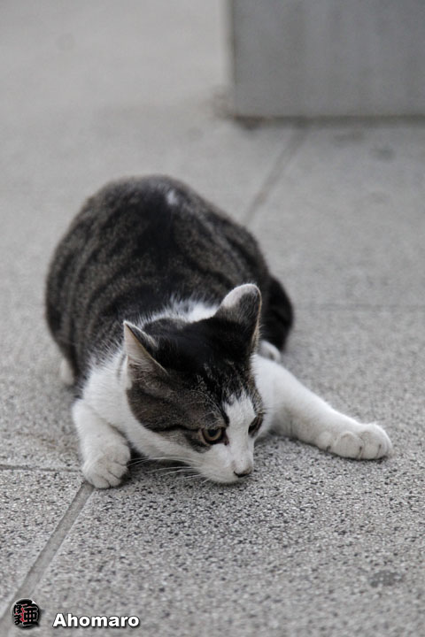 写真00