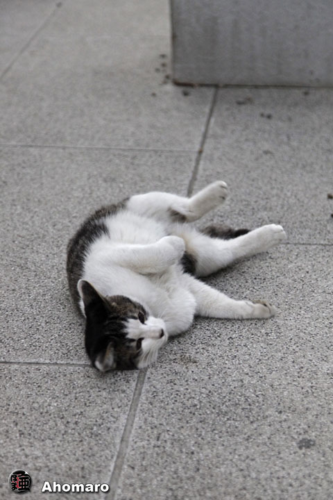 写真00