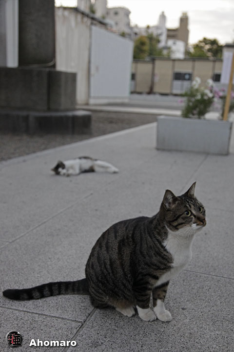写真00