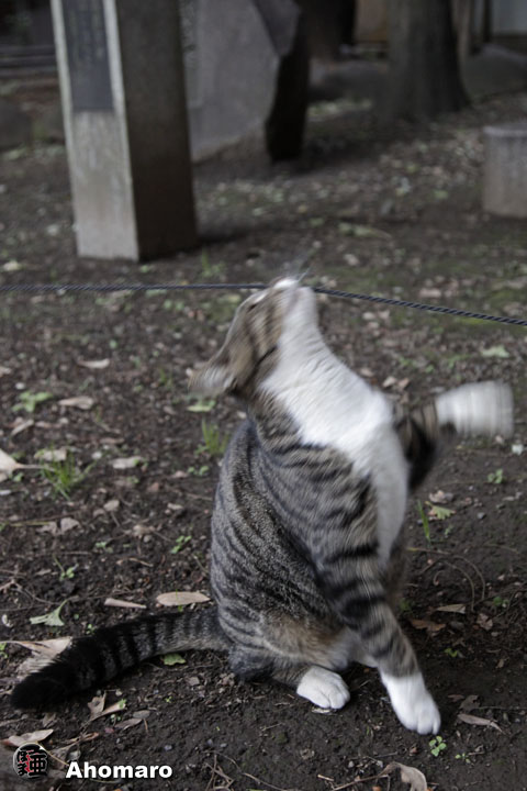 写真00