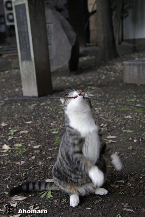 写真00