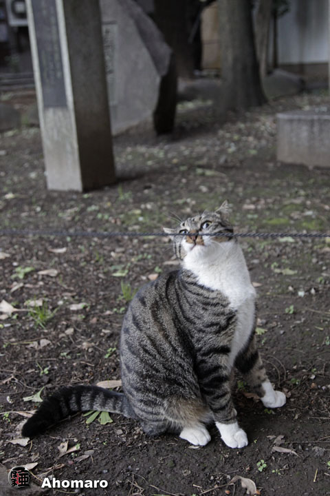 写真00