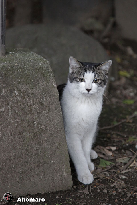 写真00