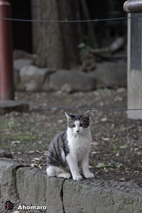 写真00