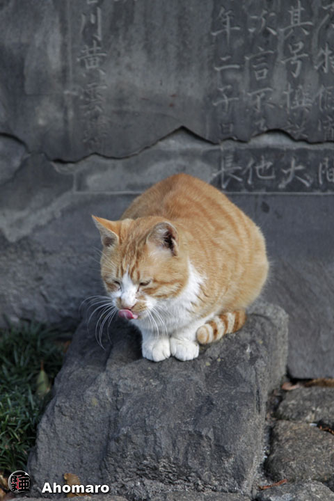 写真00