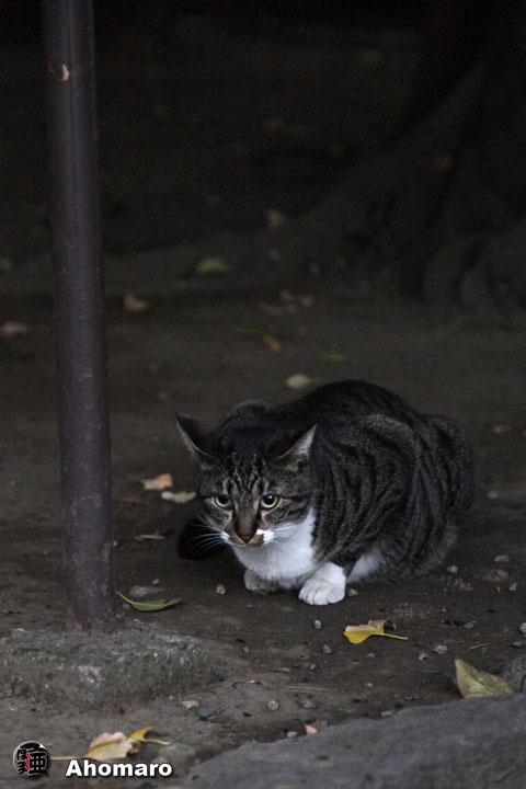 写真00