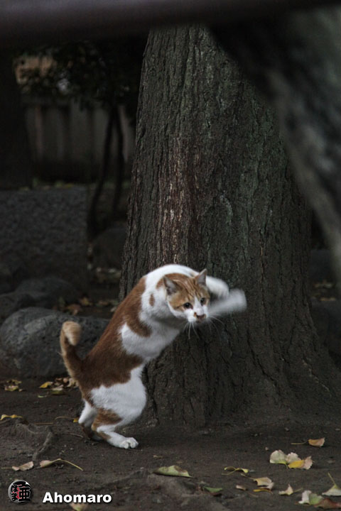 写真00
