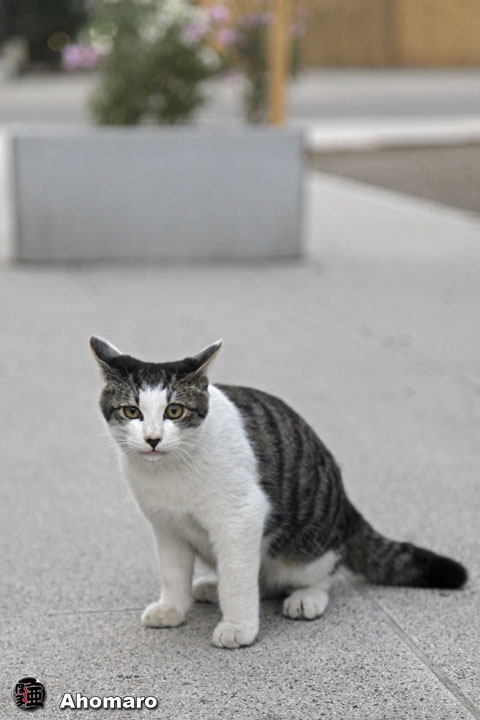 写真00