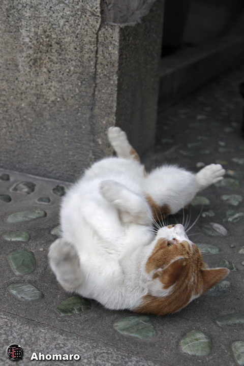 写真00