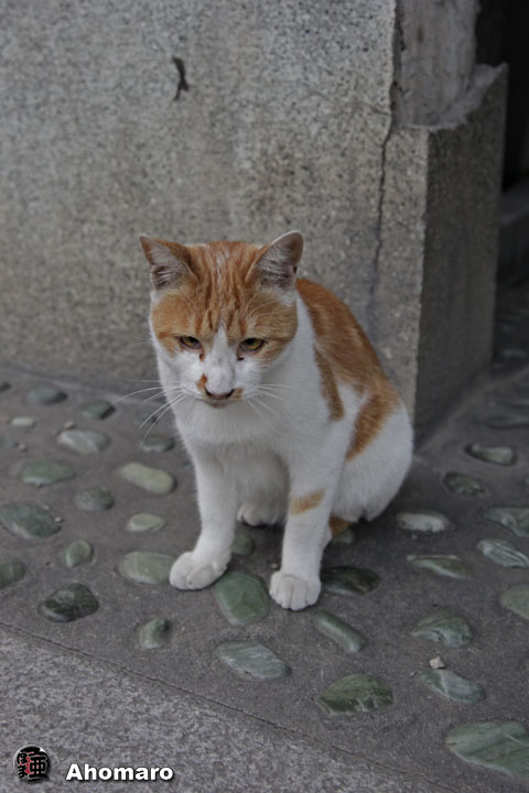 写真00