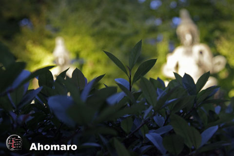 写真00