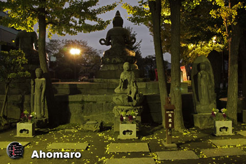 写真00