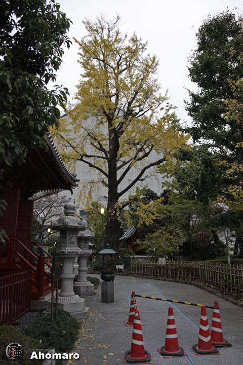 写真00