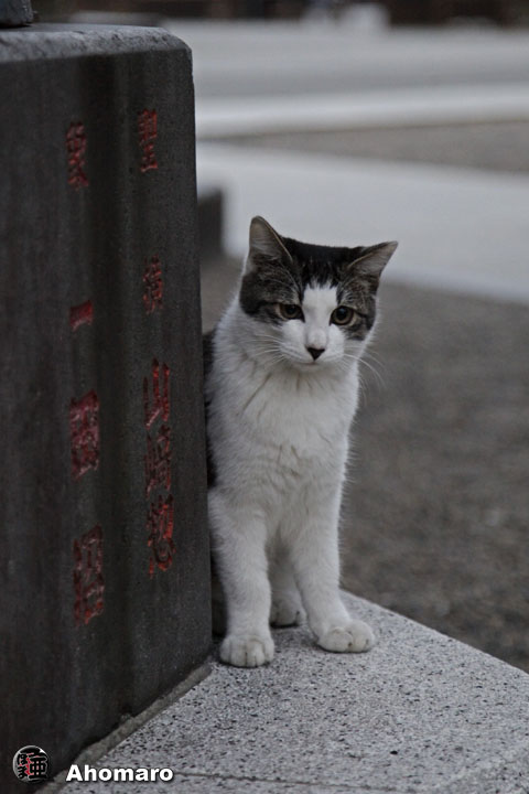 写真00