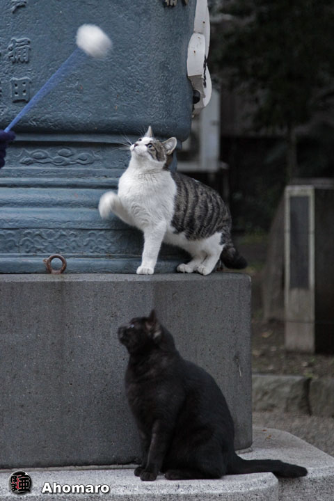 写真00