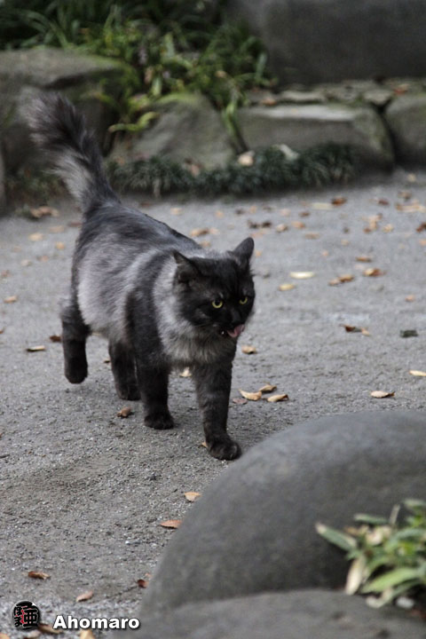 写真00