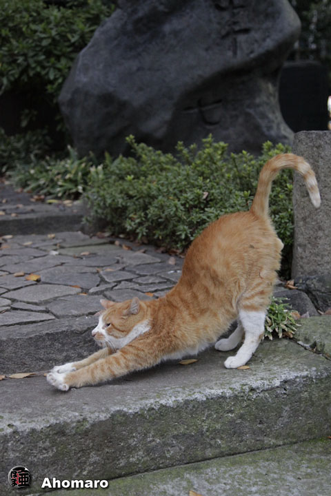 写真00