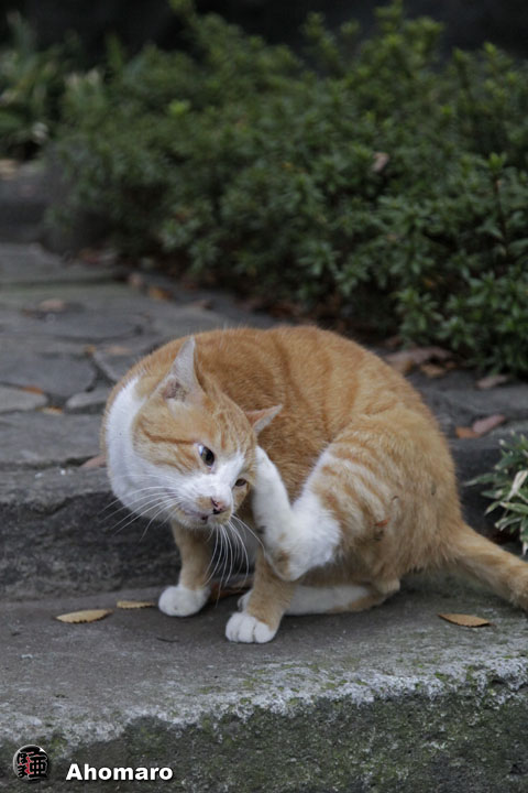 写真00