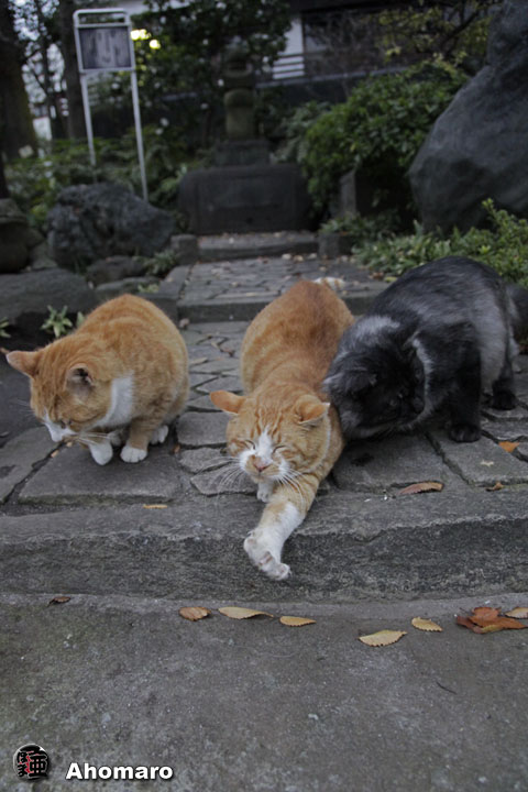 写真00