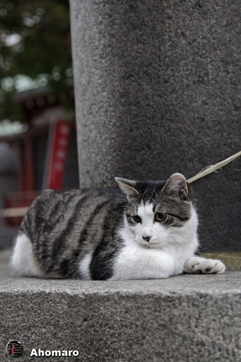 写真00