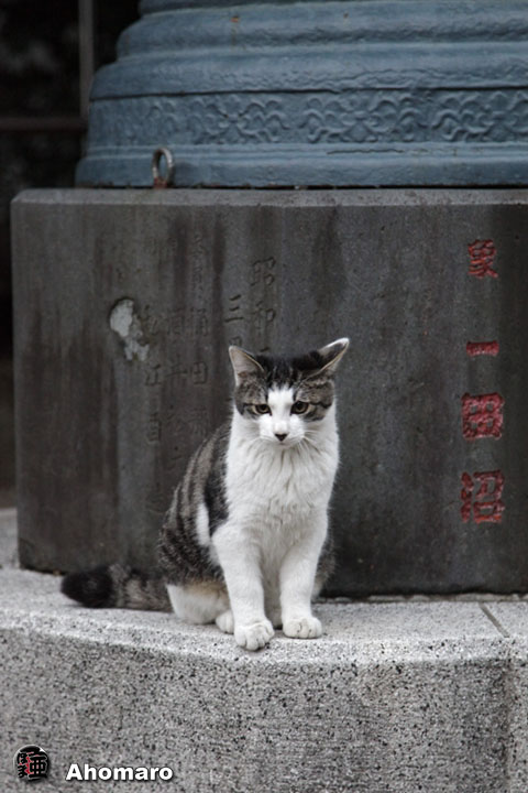 写真00