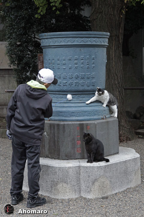 写真00