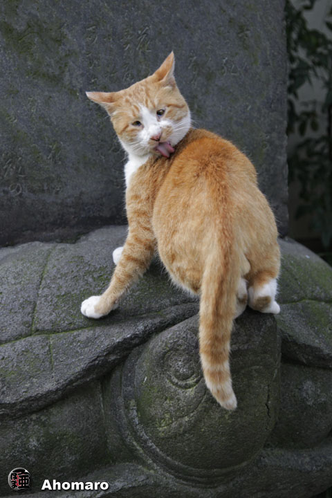 写真00