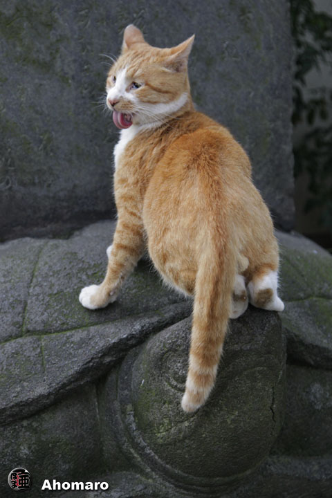 写真00