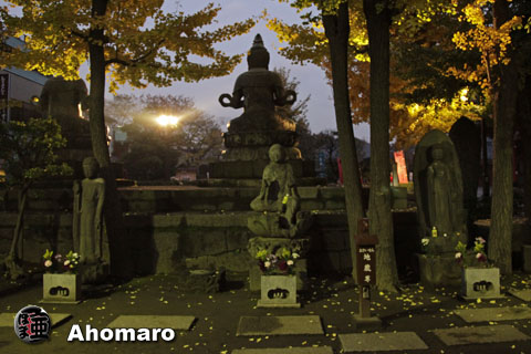 写真00