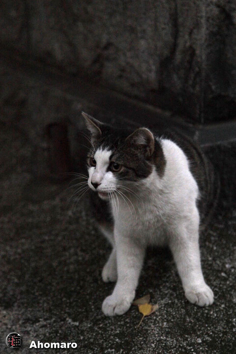 写真00