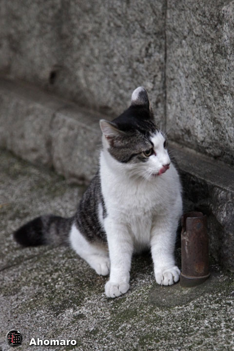 写真00