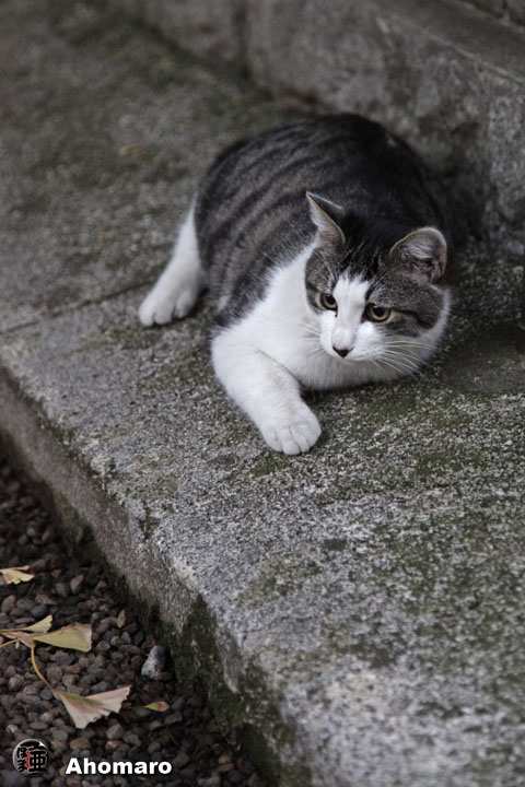 写真00