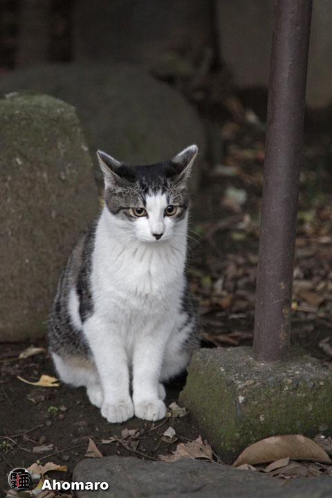 写真00
