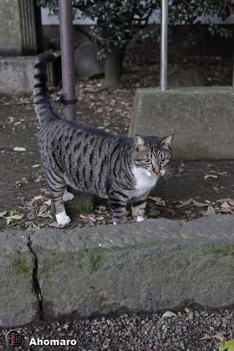 写真00