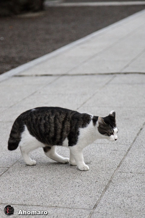 写真00