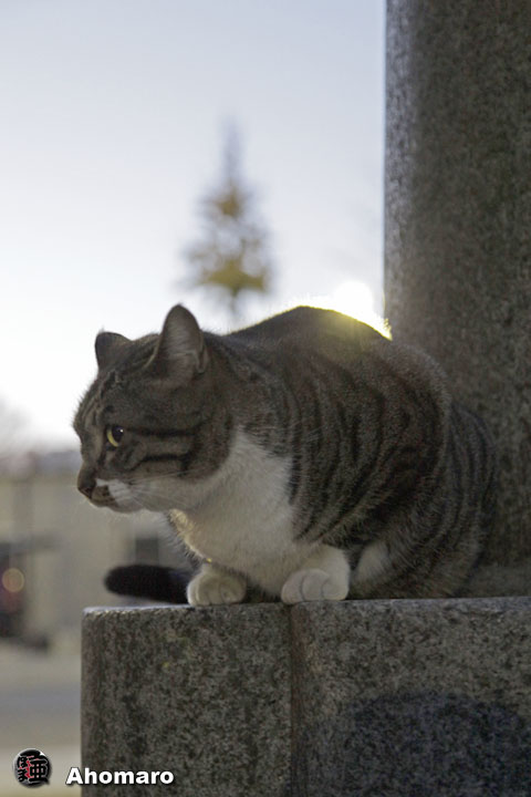 写真00