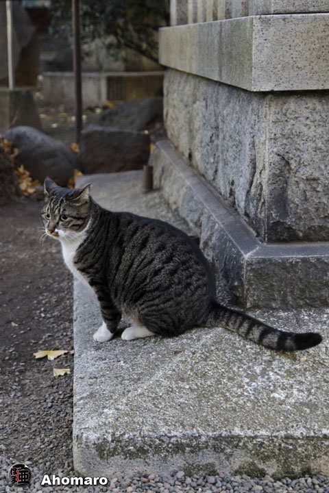 写真00