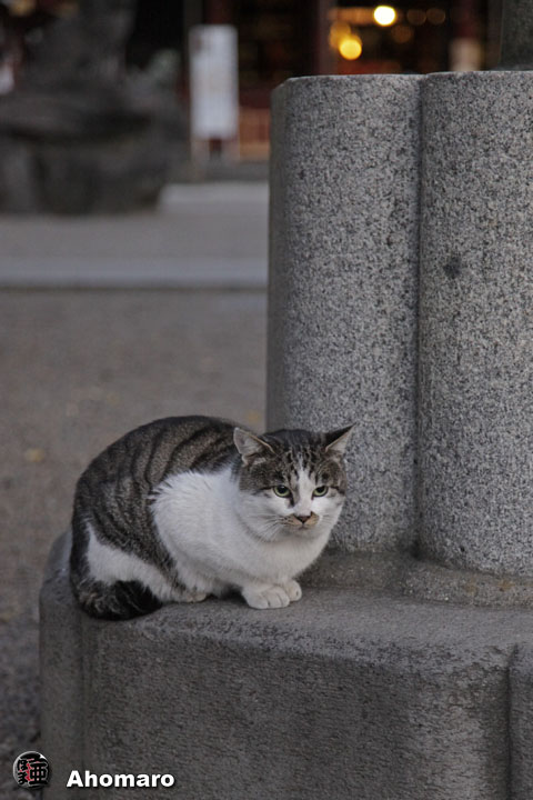 写真00