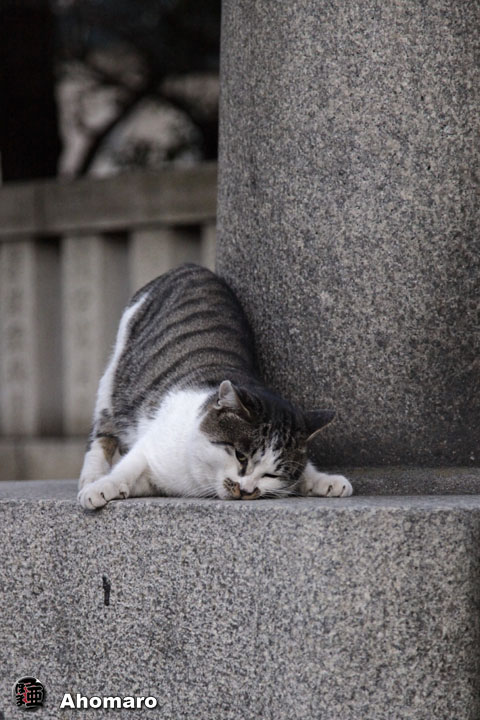 写真00
