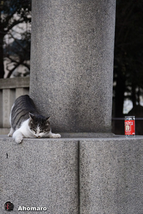 写真00