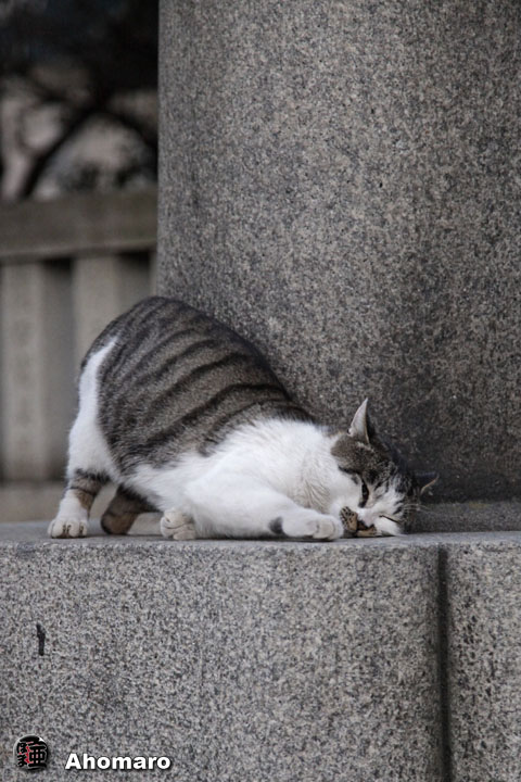 写真00